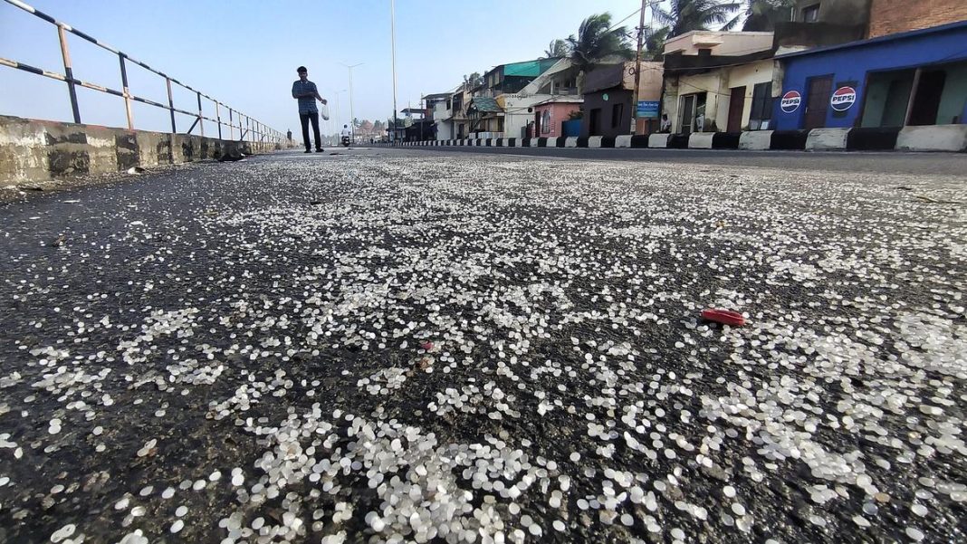 केरल सरकार समुद्र तट पर बहकर आए नर्डल्स से निपटने के लिए उठाएगी कड़े कदम